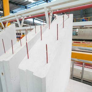 Ligne de production automatique de panneaux en béton cellulaire autoclavé et de blocs de mortier léger à base de cendres volantes pour l'usine AAC en Algérie - Product Image 6