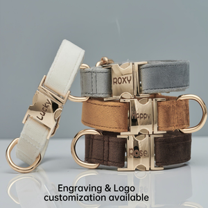 Nuevo Conjunto <span class=keywords><strong>de</strong></span> Collar <span class=keywords><strong>de</strong></span> Terciopelo para <span class=keywords><strong>Perro</strong></span> con Hebilla Metálica, Correa y Collar Ajustable con Grabado y Personalización <span class=keywords><strong>de</strong></span> Logotipo - Product Image 5