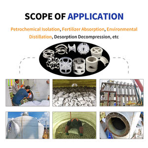 Anneaux conjugués en plastique haute efficacité 25mm-76mm pour le remplissage de tours industrielles destiné aux épurateurs chimiques - Product Image 4