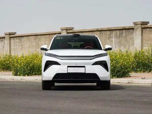 Auto BYD Usate, il Re dell'Efficienza Energetica con Configurazioni Sorprendenti - Product Image 2