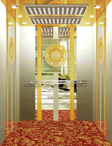 Ascenseur domestique de qualité supérieure, économie d'énergie, installation facile, ascenseur résidentiel pour villa - Product Image 2