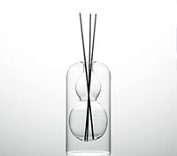 Vente en gros de grandes bouteilles en verre diffuseur givré de 200ml vides avec bâton d'étanchéité en liège et boîte-Commande minimum 100 pièces