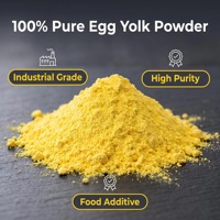 Poudre de jaune d'œuf premium en vrac, pasteurisée, séchée par atomisation, riche en protéines, en choline, en vitamine D et émulsifiant naturel
