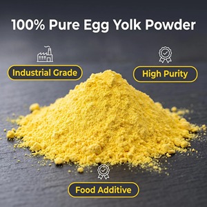 Poudre de jaune d'œuf premium en vrac, pasteurisée, séchée par atomisation, riche en protéines, en choline, en vitamine D et émulsifiant naturel - Product Image 2