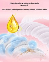 Détergent Liquide en Gros OEM/ODM pour Linge, Anti-Acariens et Anti-Taches, Soin des Tissus, Marque Privée Personnalisée