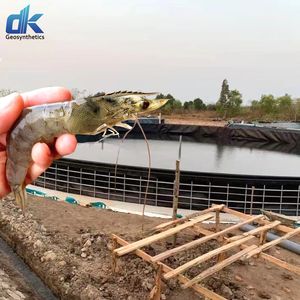 Géomembrane Dingkun 0,3 mm 0,5 mm 1 mm, revêtement de bassin, revêtement de bassin pour crevettes, géomembrane HDPE 1,5 mm pour revêtement de pente raide, décharge - Product Image 2
