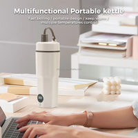 Smart Mini 500ml en acier inoxydable rechargeable bouilloire électrique portable voyage USB chaudière à eau chaude pour thé café