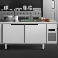 Congélateur professionnel de cuisine, puissant, double température, sous comptoir, pour cuisine