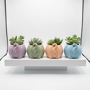 Pot de fleurs moderne minimaliste en céramique émaillée en forme de fesses de chat, fait main, écologique, petit pot pour la maison et le sol - Product Image 2