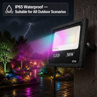 Projecteurs LED RGB blancs à télécommande pour extérieur, IP66, changement de couleur pour jardin, fête, Noël, éclairage multicolore