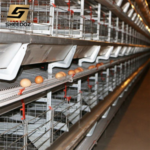 Cage à poules pondeuses pour l'élevage, équipement automatisé, batterie de cages, type H, élevage de poulets, fermes avicoles, cages à poules pondeuses - Product Image 6