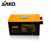 Pack de batteries LiFePO4, 12V, 24V, 36V, 48V, OEM, longue vie, 200ah, rechargeables, pour stockage d'énergie Li-Ion