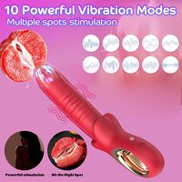 Vibromasseur 2-en-1, 10 modes, masseur du point G, jouet sexuel rechargeable pour femmes et couples