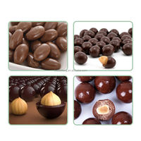 Nouvelle Machine Industrielle Automatique de Polissage de Dragées et de Revêtement de Bonbons et Chocolats Multifonctionnelle BY-300 Modèle 2026