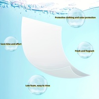 Feuilles de savon à lessive biodégradables aux enzymes naturelles Travel Strip – Nettoyant écologique pour éliminer les taches – Feuilles de détergent à lessive en papier