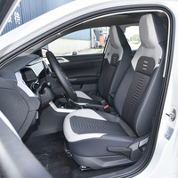   Polo Auto 1,5-Liter-Motor Erwachsenen-Benziner Linkslenker Automatikfahrzeug Polo Plus 2023