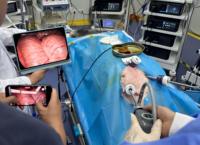 Équipement d'imagerie endoscopique sans fil 4K avec source de lumière portable Boostmind TWC-400 pour l'examen gastro-intestinal des chiens et du bétail