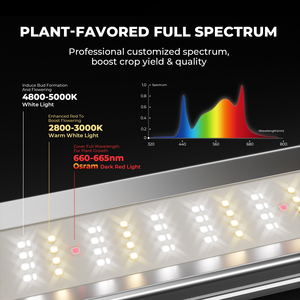 <span class=keywords><strong>ไฟ</strong></span>ปลูกต้นไม้ LED 730W 800W 1000W 1200W ชุด FC-E พลังน้ำสีแดงเข้มเสริม - Product Image 2
