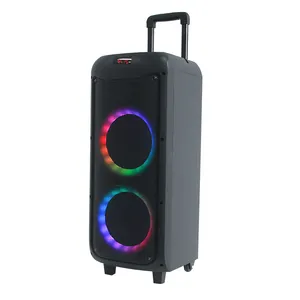 Double haut-parleur 12 pouces Big Power 120W Stereo Sound Trolley Party avec subwoofer et TWS Bluetooth sans fil