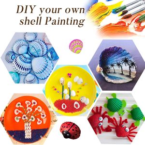 Nhỏ màu trắng biển vỏ 330g 140 ~ 160pcs số lượng lớn Tiny seashells cho nghề trang trí nội thất 1/2 " - 1 1/4" tự nhiên sò điệp vỏ - Product Image 4