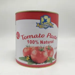 Venta caliente marca Thomas con servicio OEM pomo pasta de tomate 250g