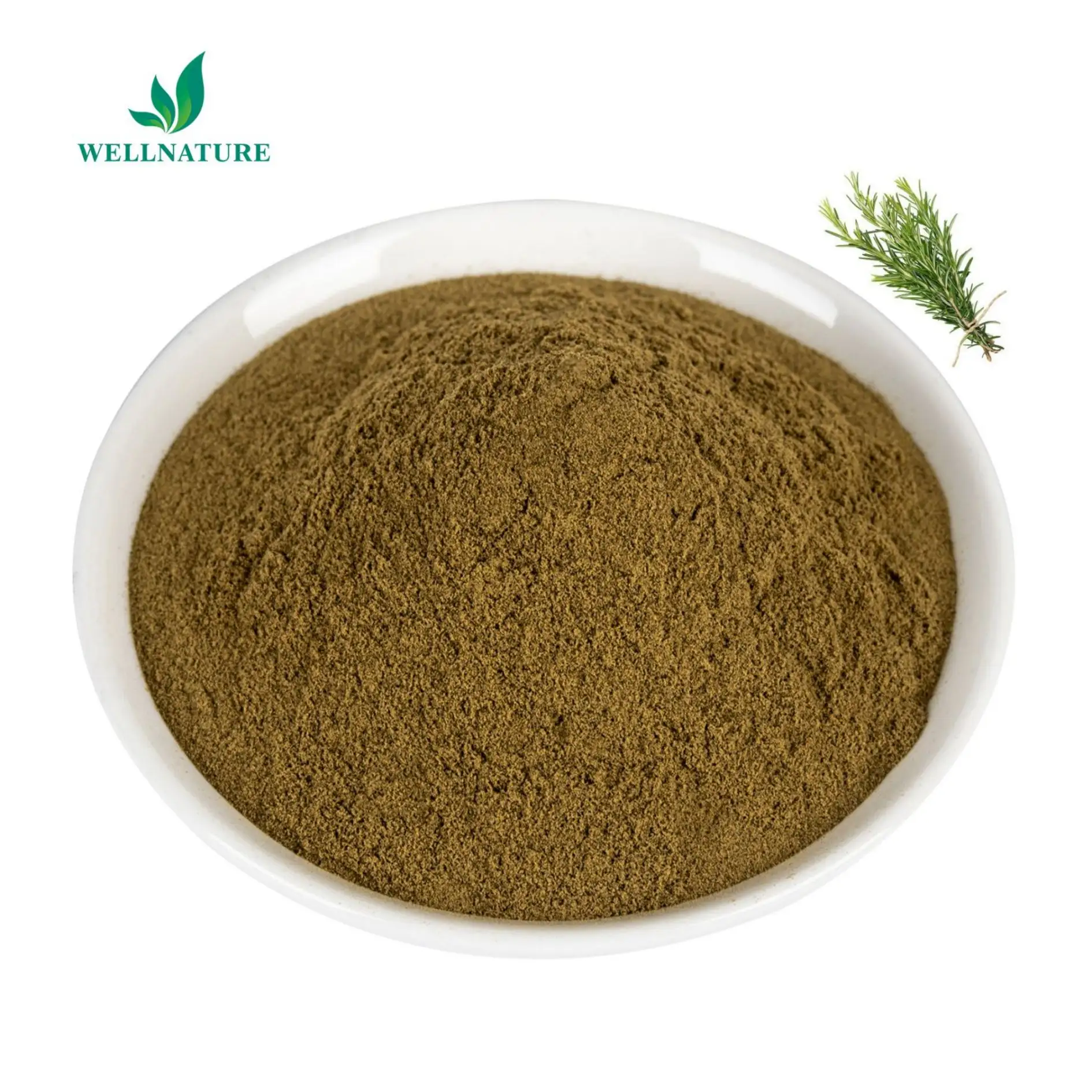 Buon prezzo estratto di erbe di rosmarino acido rrosmarinico Cas 3650-09-7 estratto di foglie di rosmarino