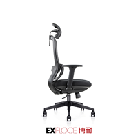 Chaise de bureau ergonomique avec support lombaire meilleure chaise d'ordinateur chaise de bureau de patron à dossier haut