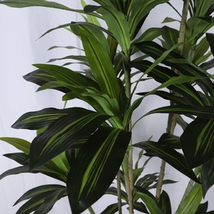 Brasil Lucky Tub Plant Artificial Four Seasons Green Plastic Plant Desktop Brazilwood Tree Forest Dracaena <span class=keywords><strong>Bonsai</strong></span> Plante - Product Image 6
