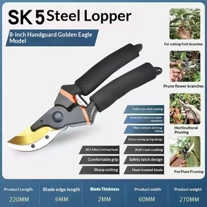 Cisailles de jardin Delixi, cisailles de taille pour arbres fruitiers, fleurs et aménagements paysagers, ciseaux spécialisés pour branches épaisses - Product Image 1