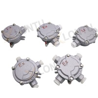 Boîtier de jonction de bornes ATEX en alliage d'aluminium IP65/66 Protection antidéflagrante Bornes antidéflagrantes Boîtiers d'instruments électroniques