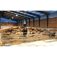 Construction structurelle en acier fabrication de volaille hangar agricole pour porc/vache/chèvre en chine