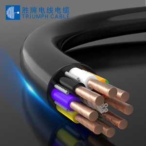 Triumph <b>Cable</b> Flexible <b>Power</b> <b>Cable</b> TRVV 2 To 40 Core PVC Flame Retardant For <b>Cable</b> Chain Supply - Product Image 5