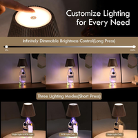 Lampe LED RVB DIY pour Bouteille de Vin au Design Moderne, 16 Modes d'Éclairage, Contrôle Tactile, Sans Fil, Corps en ABS, Base B22, Rechargeable, pour Table