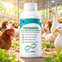 Additif alimentaire pour volailles à base d'acides organiques Yichangsu pour la santé intestinale et l'absorption des nutriments