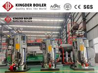 Générateur de vapeur à gaz et à mazout LHS 300 kg/h, prix usine, certifié CE, chaudière à tubes frésés basse pression pour la stérilisation en cuisine en Afrique