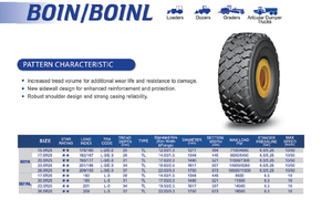 ยางเรเดียล HILO TIRES 20.5R25 B01NL สำหรับล้อ - Product Image 2