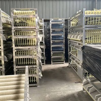 Hoog rendement automatische fruit sorteermachine roller sorteerder voor fruit & groente maatselectie