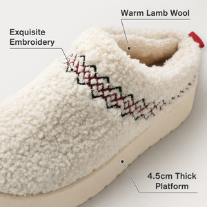 Pantoufles d'hiver tendance pour femmes avec bordure tressée, chaudes en peluche Teddy, à plateforme, pour intérieur et extérieur, vente en gros, style bottes Uggs - Product Image 2