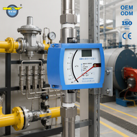 Rotamètre à tube métallique à large plage de mesure DN50 avec raccord fileté pour la surveillance du débit de gaz de chaudière