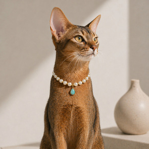 Collar de Lujo para Mascotas con Perlas de Imitación, Elegante Gargantilla con Cuentas y Colgante de Lágrima Rosa, Estilo Francés, para Perros Pequeños - Product Image 3