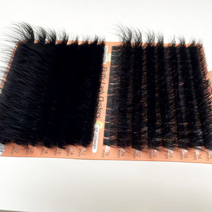 Extensions <span class=keywords><strong>de</strong></span> <span class=keywords><strong>cils</strong></span> en bouquets 100D 200D, <span class=keywords><strong>fournisseur</strong></span> en gros, fournitures <span class=keywords><strong>de</strong></span> <span class=keywords><strong>cils</strong></span> <span class=keywords><strong>de</strong></span> haute qualité - Product Image 2