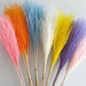 Flor de batidor pequeña blanca fresca para decoración de bodas y fiestas en el hogar <span class=keywords><strong>10</strong></span> tallos por paquete Flor de Pampa seca - Product Image 2