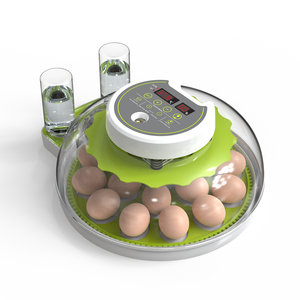 <span class=keywords><strong>Incubateur</strong></span> automatique à 18 œufs pour poulet à couver oie pigeon caille canard - Product Image 5