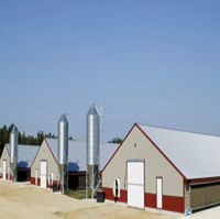 Poulailler préfabriqué à structure en acier | Maison de volaille durable et facile à assembler
