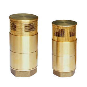 Haute qualité double porte vanne de fond station-service réservoir d'huile double porte <span class=keywords><strong>clapet</strong></span> <span class=keywords><strong>anti</strong></span>-<span class=keywords><strong>retour</strong></span> crépine en cuivre - Product Image 1