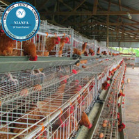 Nid de ponte à 24 trous pour poules pondeuses, en treillis soudé, équipement de cage à poules, clôture agricole en fil métallique - Directement de l'usine de Guangzhou