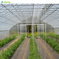 HUIFA Agriculture Poivre Cultivant Serre Pépinières Jardinage Tunnel Polyhouse Couvercle Plastique Maison Verte à vendre