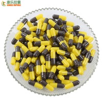 Capsules végétales vides certifiées Halal EXPO Kangle sans conservateurs, en gélatine bovine ou HPMC, pour produits sans conservateurs