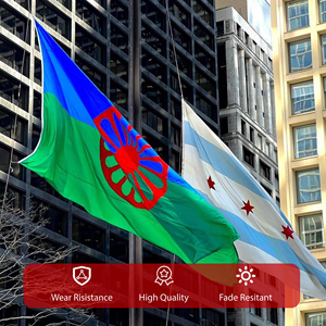 <span class=keywords><strong>Bandera</strong></span> <span class=keywords><strong>Romani</strong></span> de 3x5 pies, <span class=keywords><strong>Bandera</strong></span> Nacional de Poliéster para Exteriores con Ojales de Latón, Impresión Personalizada para Eventos, Escuelas y Uso Gubernamental - Product Image 6