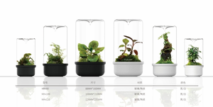 Terrarium en verre Bioloark - <span class=keywords><strong>Aquarium</strong></span> miniature de bureau pour la décoration du salon Noir/Blanc MH-80/100/120 - Product Image 6